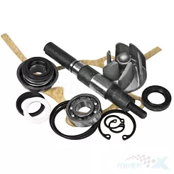 Reperaturka pompy wody RMS, Honda Foresight 250 98