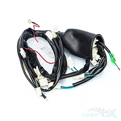 Instalacja elektryczna Zipp Kid 125