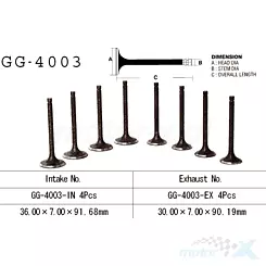 Zawór ssący Vesrah GG-4003-IN