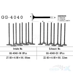 Zawór ssący Vesrah GG-4040-IN