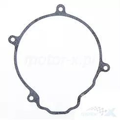 Uszczelka pokrywy alternatora Prox 19.G96303 
