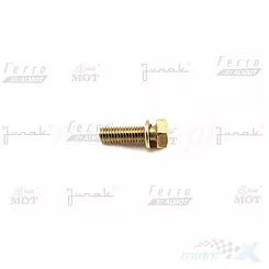 ŚrubA M5X16 z podkładką sprężynową