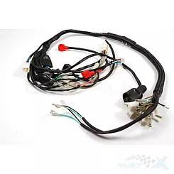 Instalacja elektryczna Barton Ranger Classic