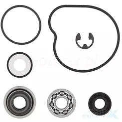Zestaw naprawczy pompy wody Vertex 821928