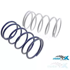 Sprężyny centralne sprzęgła tylnego komplet -8% -30% Gilera / Piaggio / Minarelli Polini Evolution
