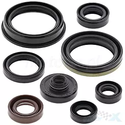 Uszczelniacze silnika komplet Bearing Worx OSK70318 (822318)