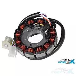 Stator iskrownik, stojan alternatora, 12 cewek Tec, Malaguti XSM SM, XTM Enduro / MBK X-Limit, X-Power / Yamaha DT R/X, TZR 07-