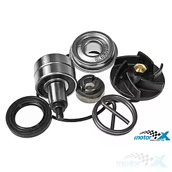 Zestaw naprawczy pompy wody RMS, Gilera / Piaggio / Vespa 250-300 (Euro3)