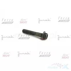 ŚRUBA ZŁĄCZNA M 6 X 32 MM z kołnierzem malowana