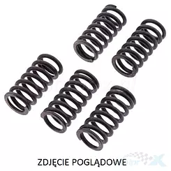 Sprężyny sprzęgła napędowego 6 sztuk TRW Lucas MEF338