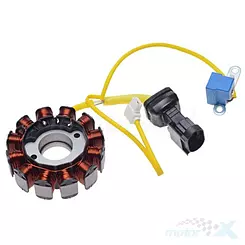 Stator iskrownik, stojan alternatora, 12 cewek, WM Motor Piaggio 584690 / 639727