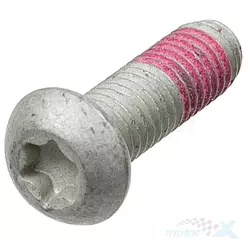 Śruba M8x29.50mm, skok 1.25mm, tarczy hamulcowej przedniej, 5 sztuk, TRW Lucas MSS113-5