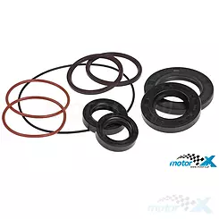 Uszczelniacze silnika, zestaw, Gilera Easy Moving, Storm, Typhoon / Piaggio TPH / Vespa ET2
