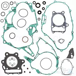 Uszczelki silnika komplet z uszczelniaczami Vertex 811801