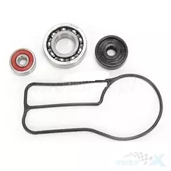 Zestaw naprawczy pompy wody Bearing Worx WMK60006 (WPK0049)