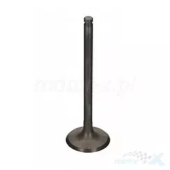 Zawór ssący, stalowy, 23.8x5.45x64.5mm Bronco AU-09189I