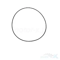 Uszczelka głowicy, oring, Vertex 817954
