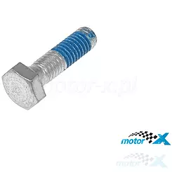 Śruba tarczy hamulcowej, M6x22mm, Aprilia / Piaggio 1C000291