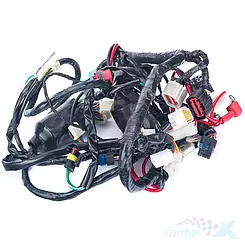 Instalacja elektryczna Zipp Appia 125