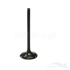 Zawór ssący, stalowy, Vertex 8400004-2