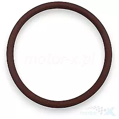 Oring QJMotor 270056030010