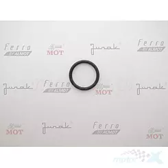 Oring wałka startera mz-etz 250 (15x2) MZ ETZ