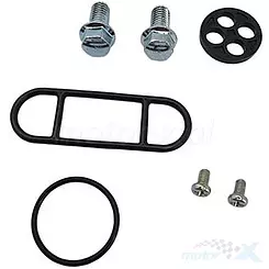 Zestaw naprawczy kranika Bearing Worx FCK50002 (60-1079)