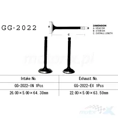 Zawór ssący Vesrah GG-2022-IN