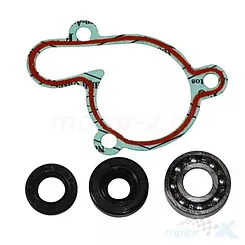 Zestaw naprawczy pompy wody Bearing Worx WMK90002 (WPK0022)