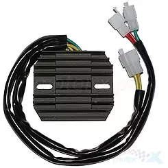 Regulator napięcia Electrosport ESR120