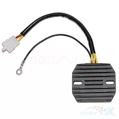 Regulator napięcia Electrosport ESR090