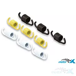Sprężyny szczęk sprzęgła tylnego Malossi, Piaggio Sfera 50-80 91-94
