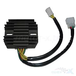 Regulator napięcia Electrosport ESR250