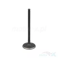 Zawór ssący Bronco AC-09021I