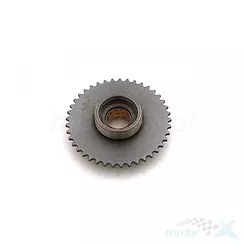 Zębatka rozrządu 41 do Minicross DB10