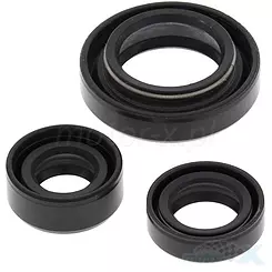 Uszczelniacze silnika komplet Winderosa Suzuki LT-F250 OZARK 02-14, LT-Z250 04-09
