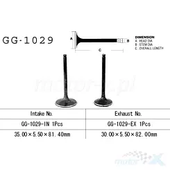 Zawór ssący Vesrah GG-1029-IN