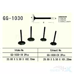 Zawór wydechowy Vesrah GG-1030-EX