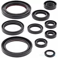 Uszczelniacze silnika komplet Bearing Worx OSK30330 (822330)