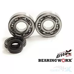 Łożyska wału korbowego z uszczelniaczami Bearing Worx CBK30010 (NTN) (MADE IN JAPAN) (24-1033)