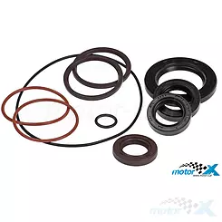 Uszczelniacze silnika, zestaw, Gilera Ice, Runner, Stalker / Piaggio NRG, Zip Cat, Zip SP 2