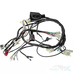 Instalacja elektryczna Barton Fighter 1