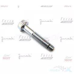 śruba m6x30 łączenia karterów (str. prawa) Junak RS125