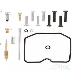 Zestaw naprawczy gaźnika Bearing Worx CK50862 (26-1417)