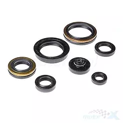 Uszczelniacze silnika komplet Bearing Worx OSK70266 (822266)