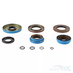 Uszczelniacze dyferencjału tylnego All Balls (25-2126-5) Polaris RZR / EFI / EPS