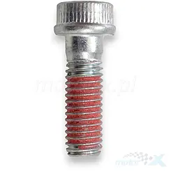 Śruba M8x25mm QJMotor 08012P06000J