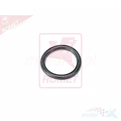 O-ring Bajaj Dominar 400