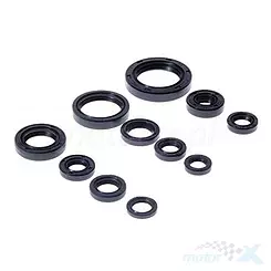 Uszczelniacze silnika komplet Bearing Worx OSK30271 (822271)