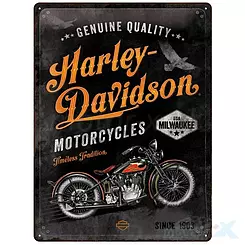 Tablica, plakat 30x40 cm, tłoczona blacha, Harley-Davidson Nostalgic Art 23279